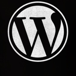 WordPress Logo Distressed T Shirt 9548070