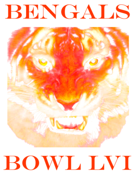 https://d1w8c6s6gmwlek.cloudfront.net/coldspringsdesigns.com/overlays/391/961/39196191.png img