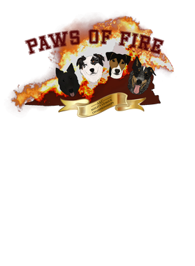 image overlay