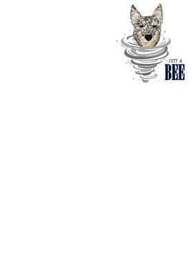 image overlay