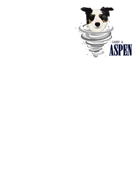image overlay