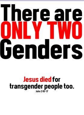 https://d1w8c6s6gmwlek.cloudfront.net/coldspringsdesigns.com/overlays/403/472/40347262.png img