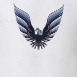 Pontiac Firebird Logo T Shirt 31748140