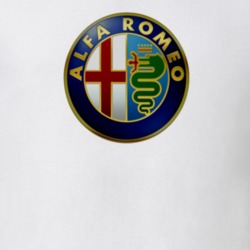 Alfa Romeo Logo T Shirt 31748143