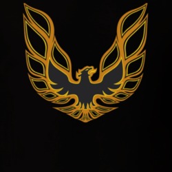 Pontiac Firebird Logo T Shirt 31748161