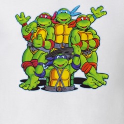 Teenage Mutant Ninja Turtles Raphael Leonardo Michaelangelo Donatello Cast Character Fan 1980's Gift T Shirt 32102902