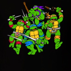 Teenage Mutant Ninja Turtles Raphael Leonardo Michaelangelo Donatello Cast Character Fan 1980's Gift T Shirt 32102914