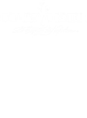 https://d1w8c6s6gmwlek.cloudfront.net/dabbapparel.com/overlays/293/014/29301496.png img