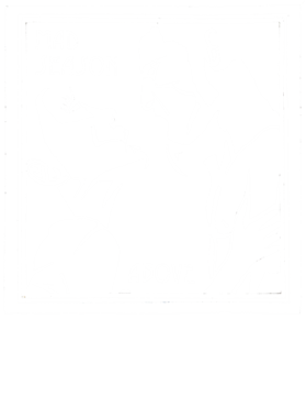 https://d1w8c6s6gmwlek.cloudfront.net/dabbapparel.com/overlays/379/410/37941041.png img