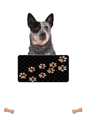 https://d1w8c6s6gmwlek.cloudfront.net/dabbapparel.com/overlays/385/627/38562794.png img