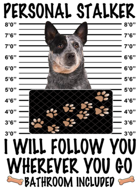 https://d1w8c6s6gmwlek.cloudfront.net/dabbapparel.com/overlays/385/627/38562797.png img