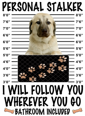 https://d1w8c6s6gmwlek.cloudfront.net/dabbapparel.com/overlays/385/627/38562799.png img