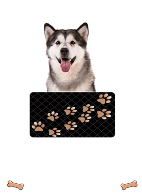 https://d1w8c6s6gmwlek.cloudfront.net/dabbapparel.com/overlays/385/628/38562800.png img