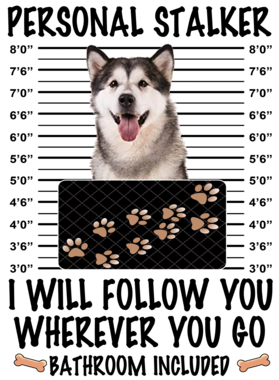 https://d1w8c6s6gmwlek.cloudfront.net/dabbapparel.com/overlays/385/628/38562801.png img