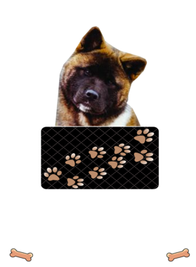 https://d1w8c6s6gmwlek.cloudfront.net/dabbapparel.com/overlays/385/628/38562802.png img