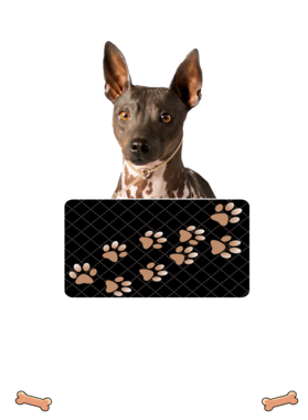 https://d1w8c6s6gmwlek.cloudfront.net/dabbapparel.com/overlays/385/628/38562804.png img