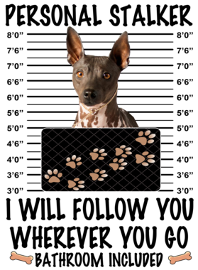 https://d1w8c6s6gmwlek.cloudfront.net/dabbapparel.com/overlays/385/628/38562805.png img