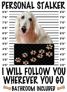 https://d1w8c6s6gmwlek.cloudfront.net/dabbapparel.com/overlays/385/628/38562806.png img