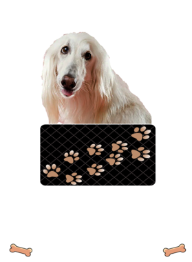 https://d1w8c6s6gmwlek.cloudfront.net/dabbapparel.com/overlays/385/628/38562807.png img