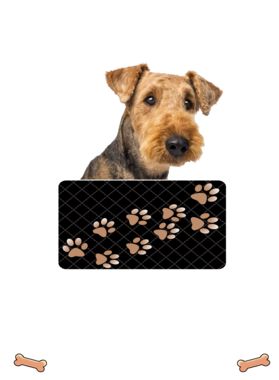 https://d1w8c6s6gmwlek.cloudfront.net/dabbapparel.com/overlays/385/628/38562808.png img