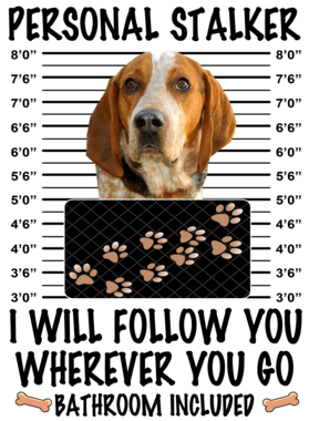 https://d1w8c6s6gmwlek.cloudfront.net/dabbapparel.com/overlays/385/628/38562810.png img
