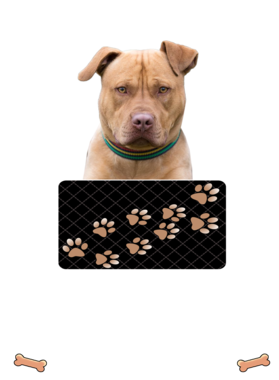 https://d1w8c6s6gmwlek.cloudfront.net/dabbapparel.com/overlays/385/628/38562812.png img