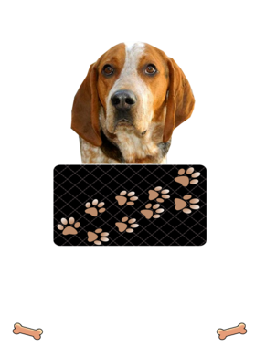 https://d1w8c6s6gmwlek.cloudfront.net/dabbapparel.com/overlays/385/628/38562813.png img