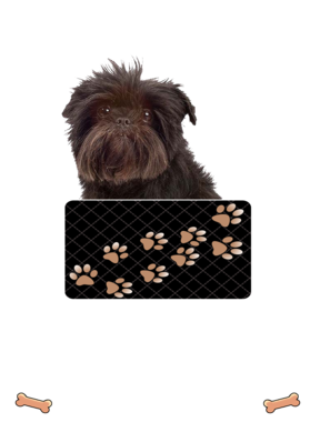 https://d1w8c6s6gmwlek.cloudfront.net/dabbapparel.com/overlays/385/628/38562815.png img