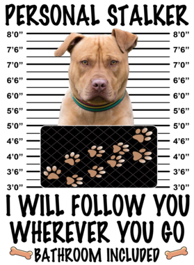 https://d1w8c6s6gmwlek.cloudfront.net/dabbapparel.com/overlays/385/628/38562816.png img