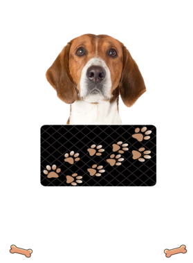 https://d1w8c6s6gmwlek.cloudfront.net/dabbapparel.com/overlays/385/628/38562817.png img
