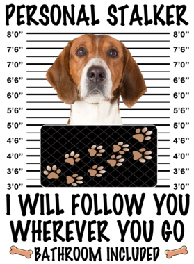 https://d1w8c6s6gmwlek.cloudfront.net/dabbapparel.com/overlays/385/628/38562818.png img