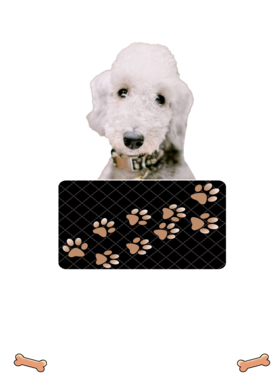 https://d1w8c6s6gmwlek.cloudfront.net/dabbapparel.com/overlays/385/628/38562820.png img