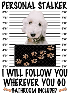 https://d1w8c6s6gmwlek.cloudfront.net/dabbapparel.com/overlays/385/628/38562821.png img