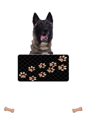 https://d1w8c6s6gmwlek.cloudfront.net/dabbapparel.com/overlays/385/628/38562822.png img