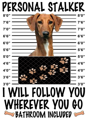 https://d1w8c6s6gmwlek.cloudfront.net/dabbapparel.com/overlays/385/628/38562824.png img