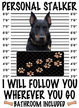 https://d1w8c6s6gmwlek.cloudfront.net/dabbapparel.com/overlays/385/628/38562826.png img