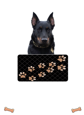 https://d1w8c6s6gmwlek.cloudfront.net/dabbapparel.com/overlays/385/628/38562827.png img