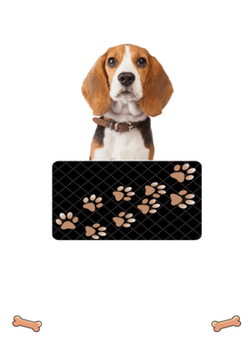https://d1w8c6s6gmwlek.cloudfront.net/dabbapparel.com/overlays/385/628/38562828.png img