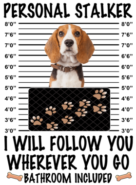 https://d1w8c6s6gmwlek.cloudfront.net/dabbapparel.com/overlays/385/628/38562829.png img