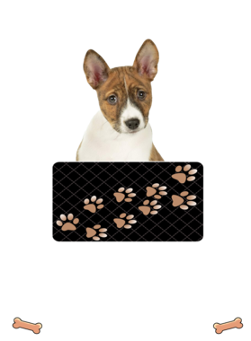 https://d1w8c6s6gmwlek.cloudfront.net/dabbapparel.com/overlays/385/628/38562830.png img