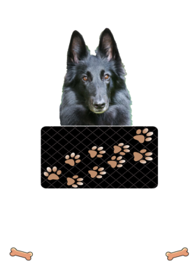 https://d1w8c6s6gmwlek.cloudfront.net/dabbapparel.com/overlays/385/628/38562832.png img