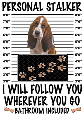 https://d1w8c6s6gmwlek.cloudfront.net/dabbapparel.com/overlays/385/628/38562834.png img