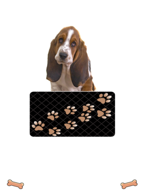 https://d1w8c6s6gmwlek.cloudfront.net/dabbapparel.com/overlays/385/628/38562835.png img