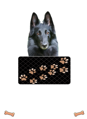 https://d1w8c6s6gmwlek.cloudfront.net/dabbapparel.com/overlays/385/628/38562836.png img