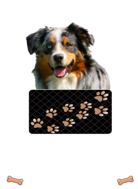 https://d1w8c6s6gmwlek.cloudfront.net/dabbapparel.com/overlays/385/628/38562838.png img