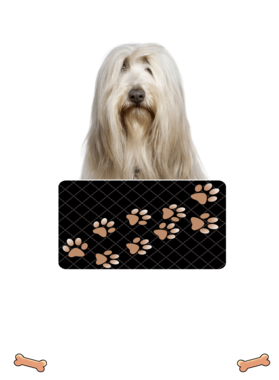 https://d1w8c6s6gmwlek.cloudfront.net/dabbapparel.com/overlays/385/628/38562839.png img