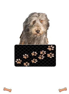 https://d1w8c6s6gmwlek.cloudfront.net/dabbapparel.com/overlays/385/628/38562841.png img