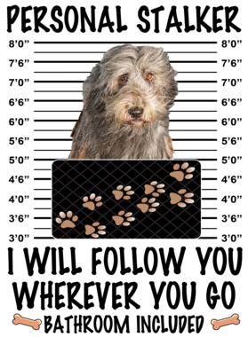 https://d1w8c6s6gmwlek.cloudfront.net/dabbapparel.com/overlays/385/628/38562842.png img