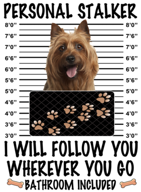 https://d1w8c6s6gmwlek.cloudfront.net/dabbapparel.com/overlays/385/628/38562843.png img