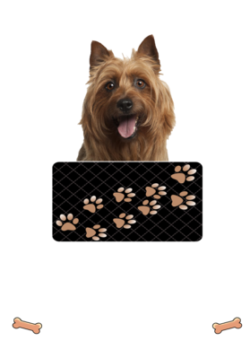 https://d1w8c6s6gmwlek.cloudfront.net/dabbapparel.com/overlays/385/628/38562844.png img